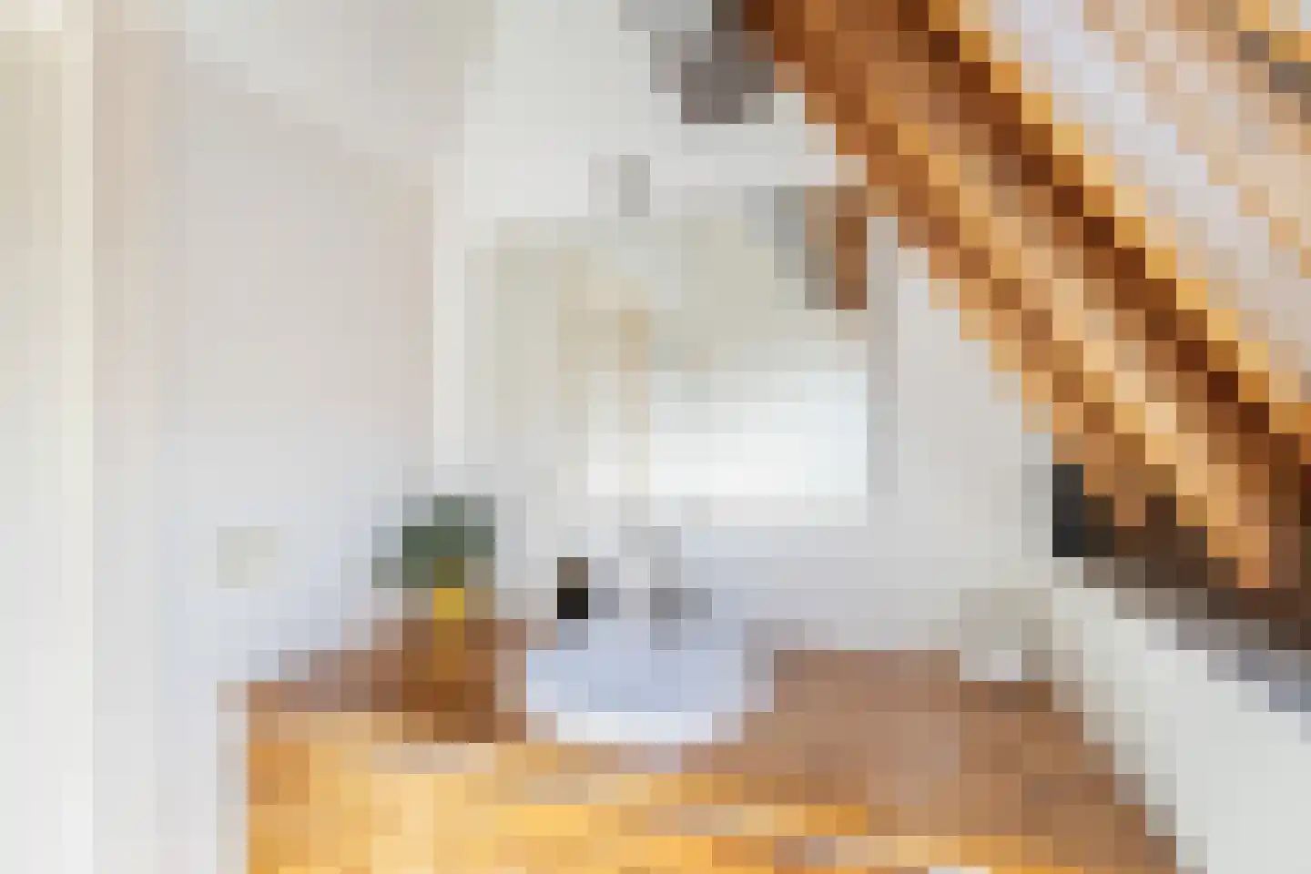Oudegracht 278 Utrecht thumbnail 92