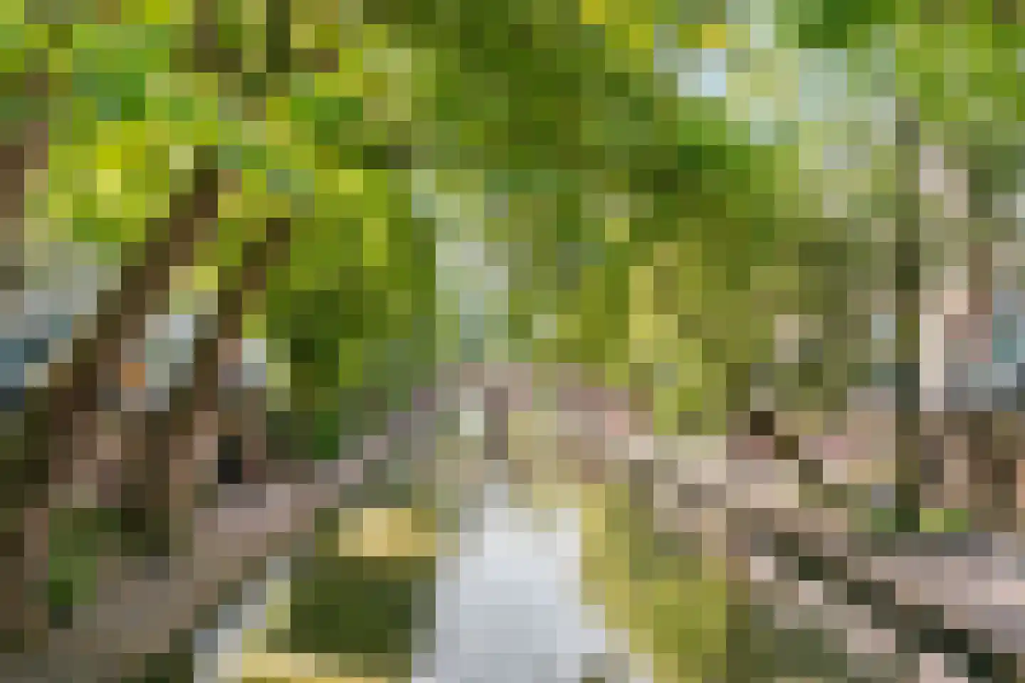 Oudegracht 278 Utrecht thumbnail 99