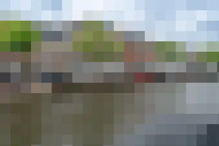 Oudegracht 289 Alkmaar thumbnail 34