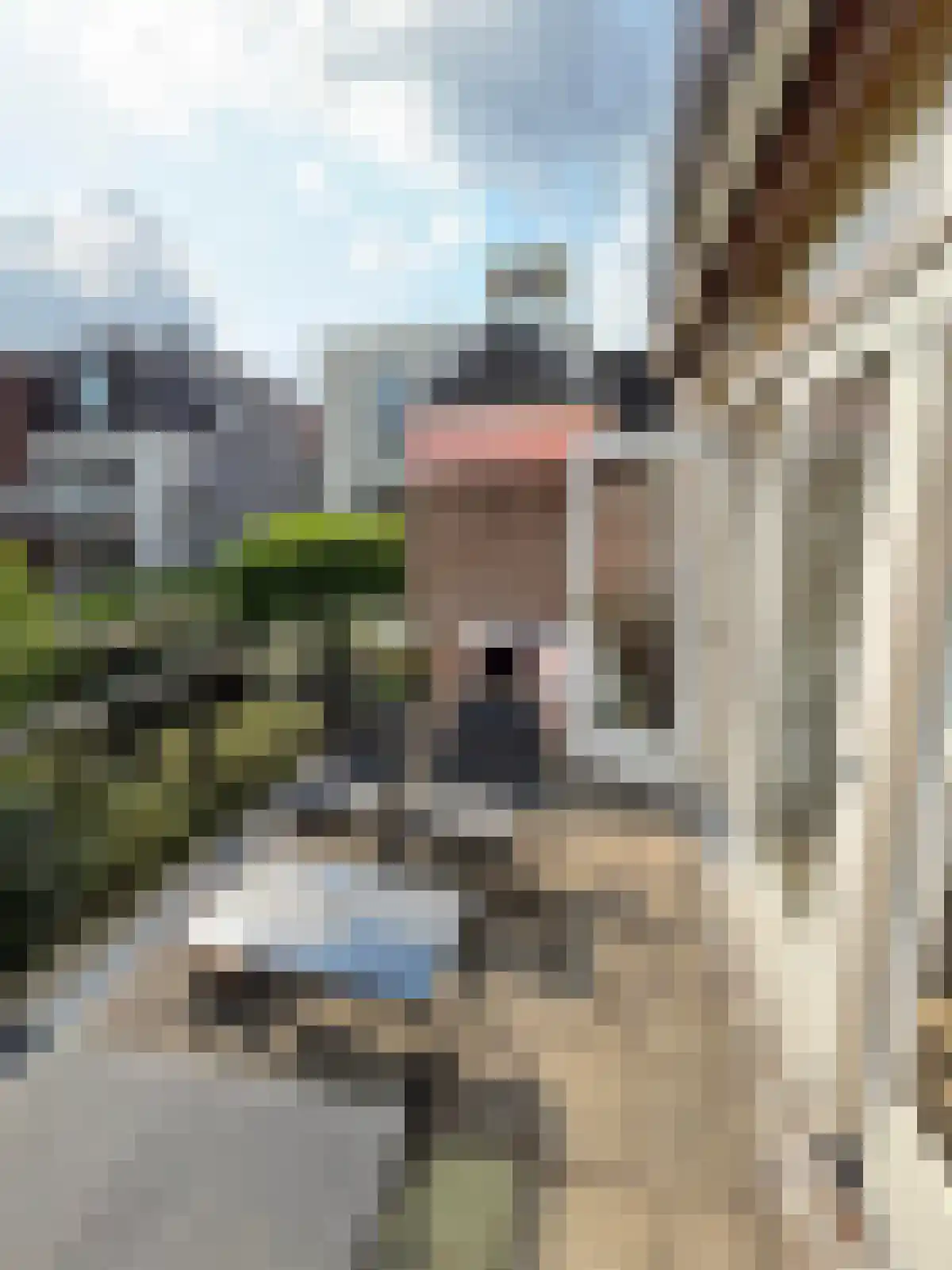Oudegracht 294 C Utrecht thumbnail 6