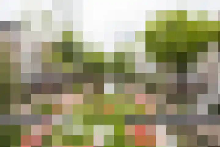 Oudegracht 309 A Utrecht thumbnail 45