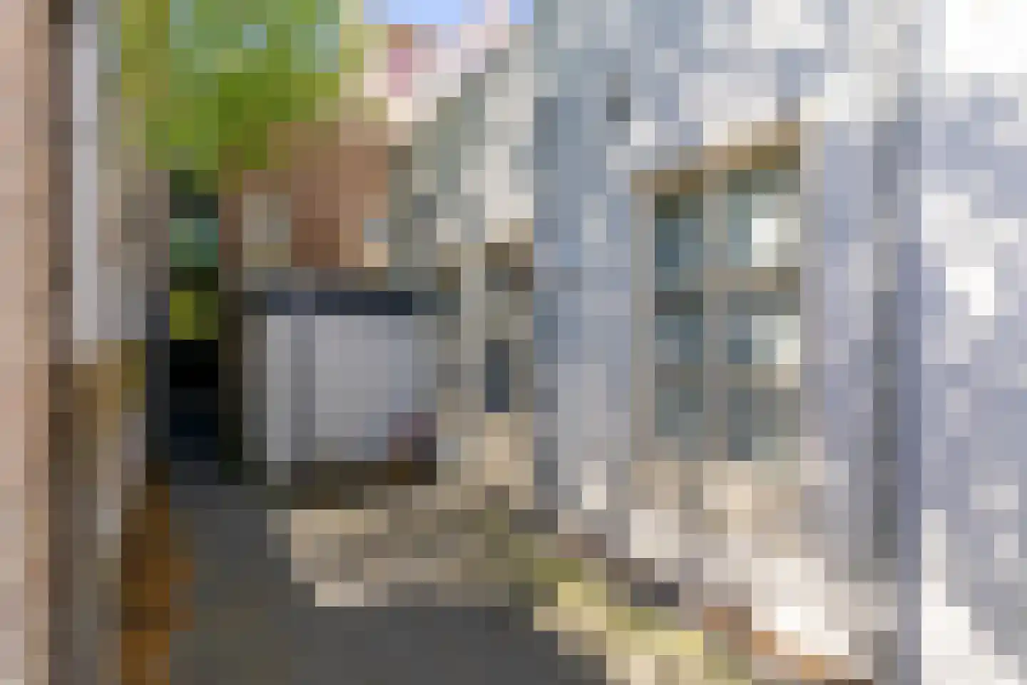 Oudegracht 312 C Utrecht thumbnail 18
