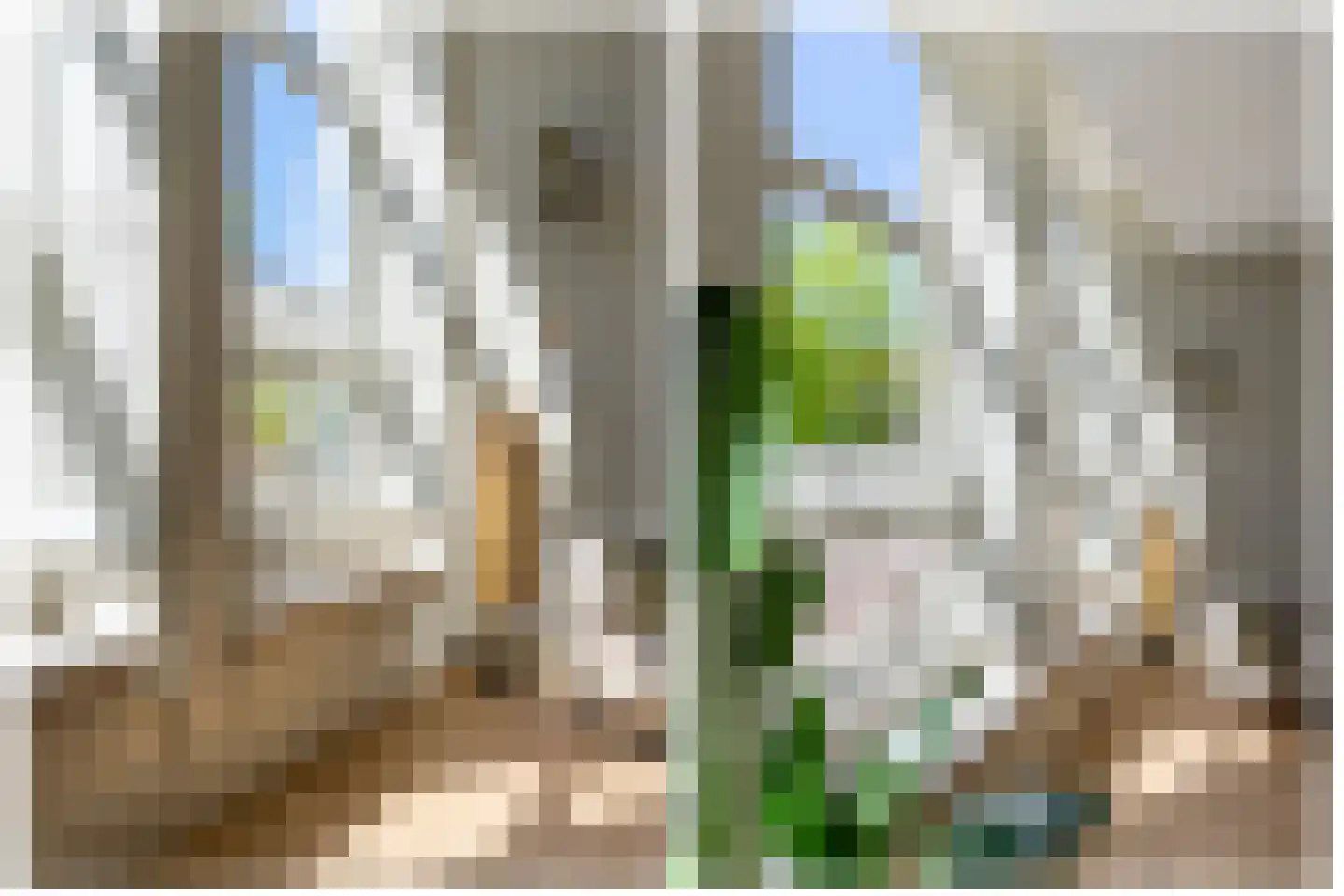 Oudegracht 312 E Utrecht thumbnail 7