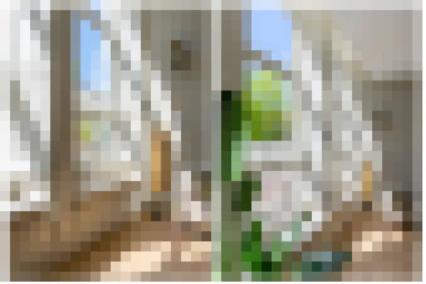 Oudegracht 312 E Utrecht thumbnail 9
