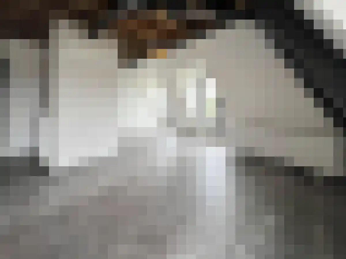 Oudegracht 364 26 Utrecht thumbnail 5