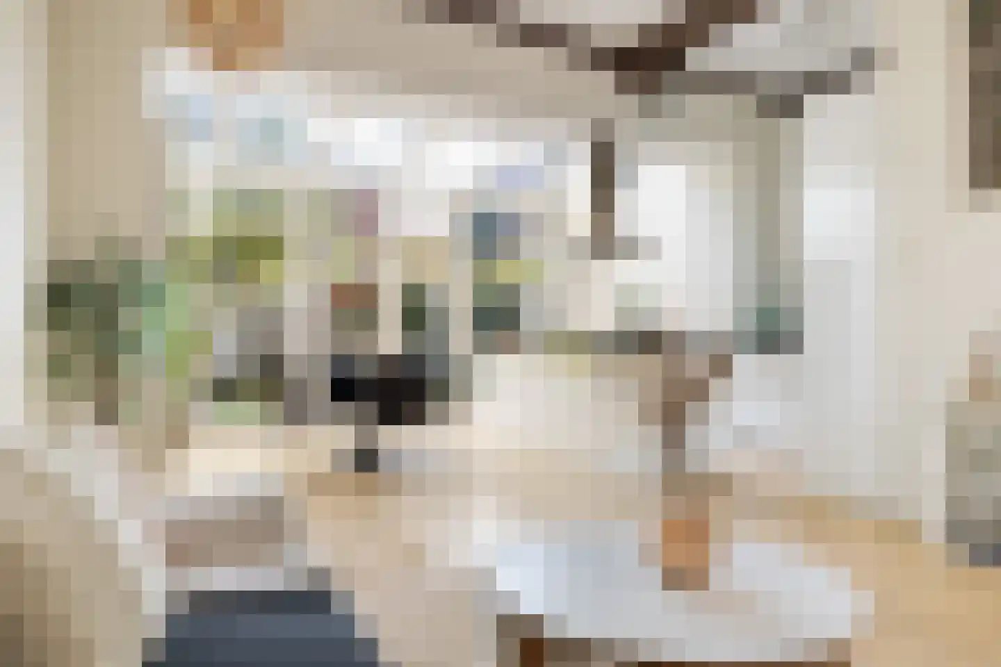 Oudegracht 370 C Utrecht thumbnail 15
