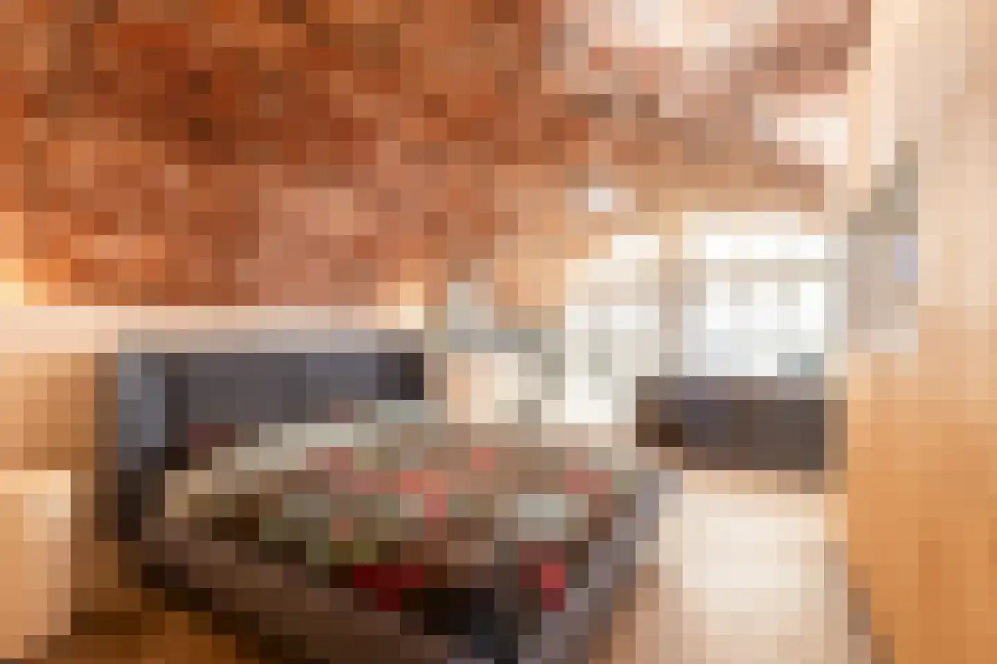 Oudegracht 371 L Utrecht thumbnail 26