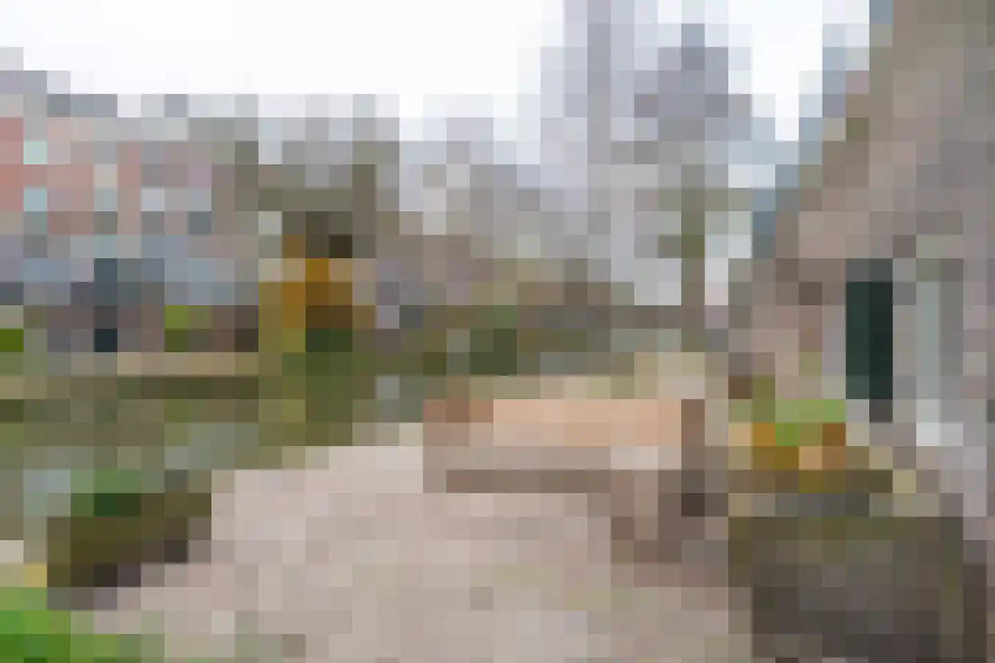 Oudegracht 372 Utrecht thumbnail 23