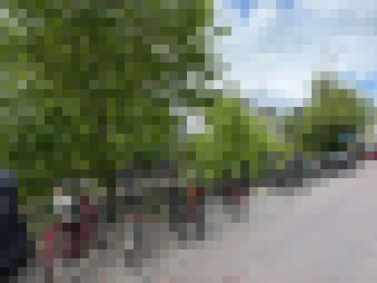 Oudegracht 38 C Utrecht thumbnail 19