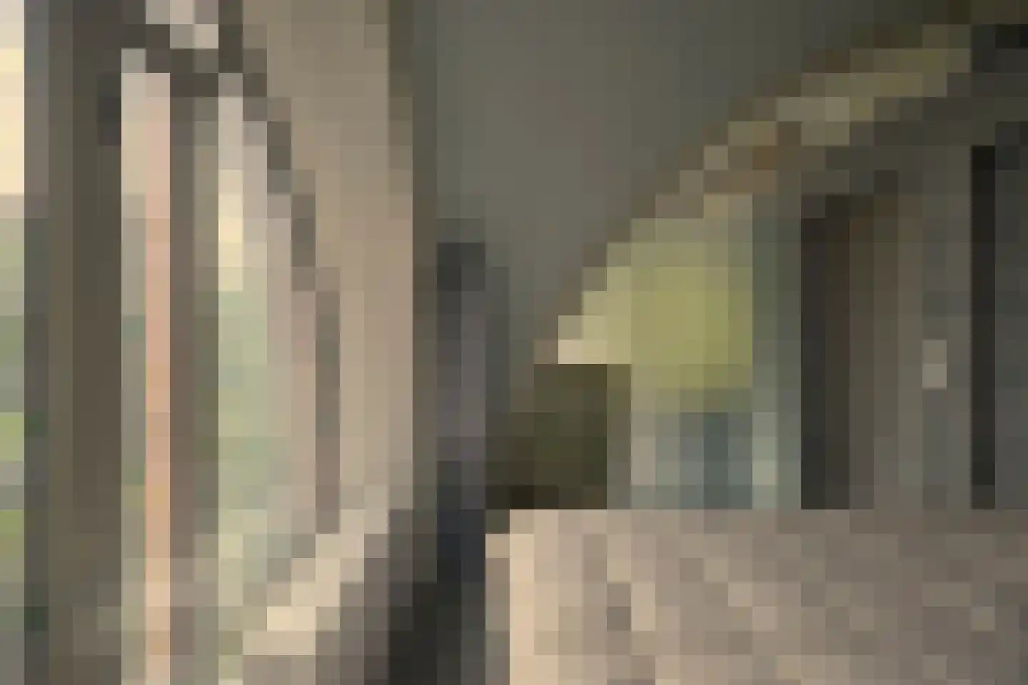 Oudegracht 401 C N Utrecht thumbnail 31