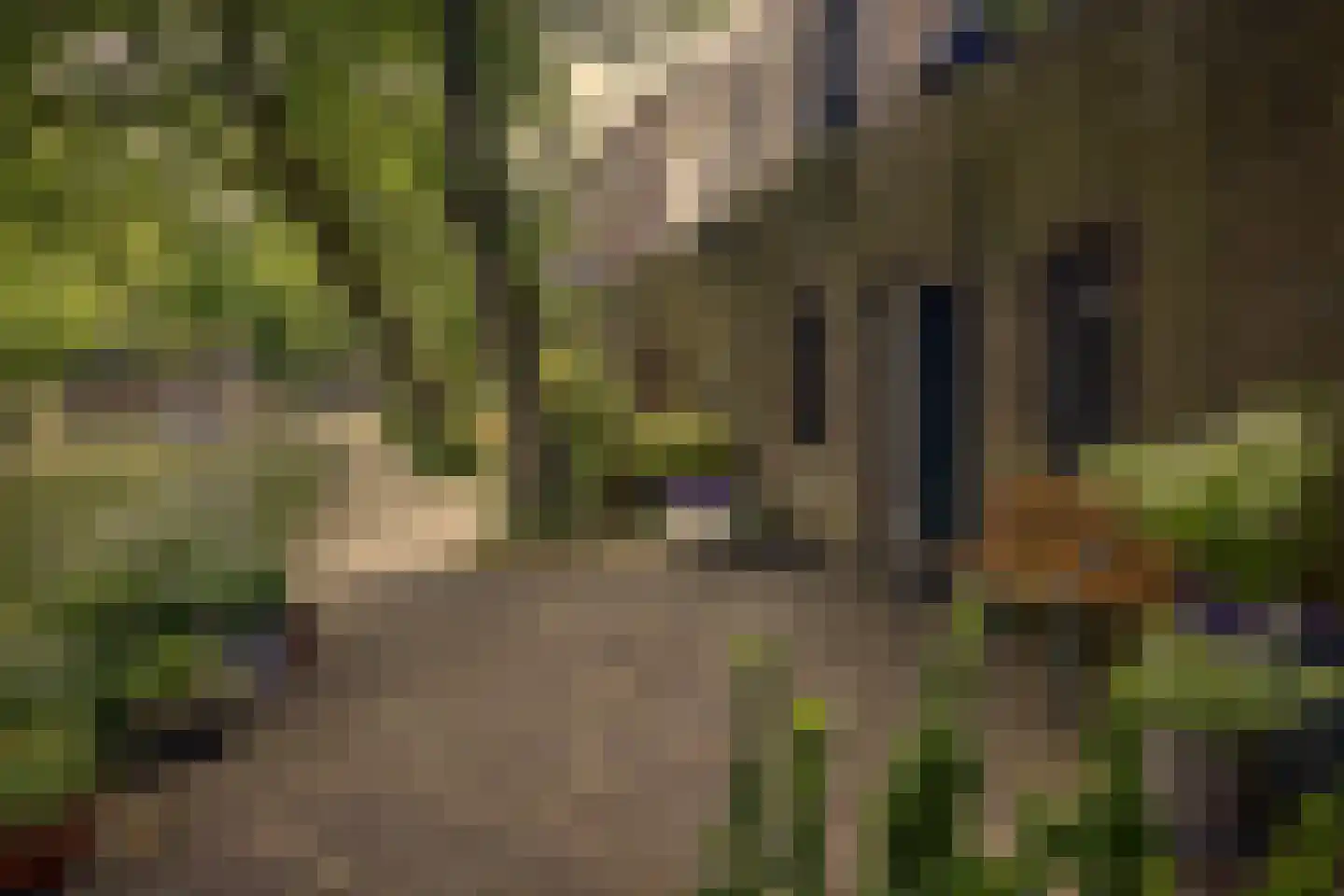 Oudegracht 401 C N Utrecht thumbnail 43