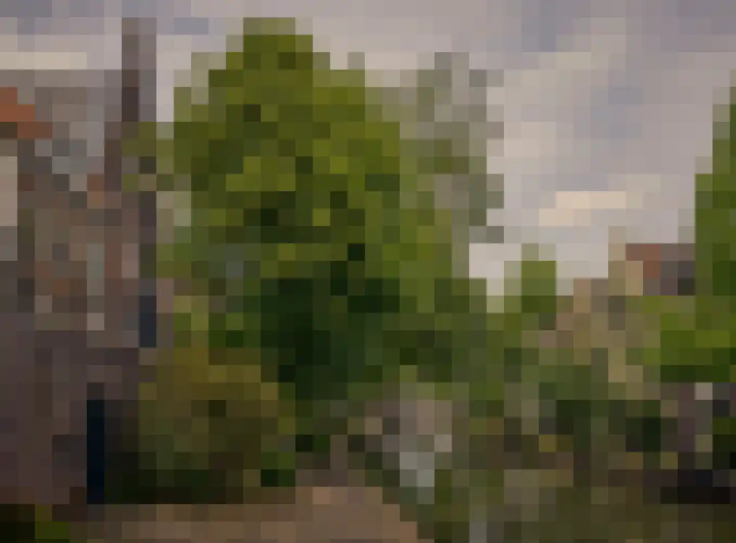 Oudegracht 401 C N Utrecht thumbnail 46