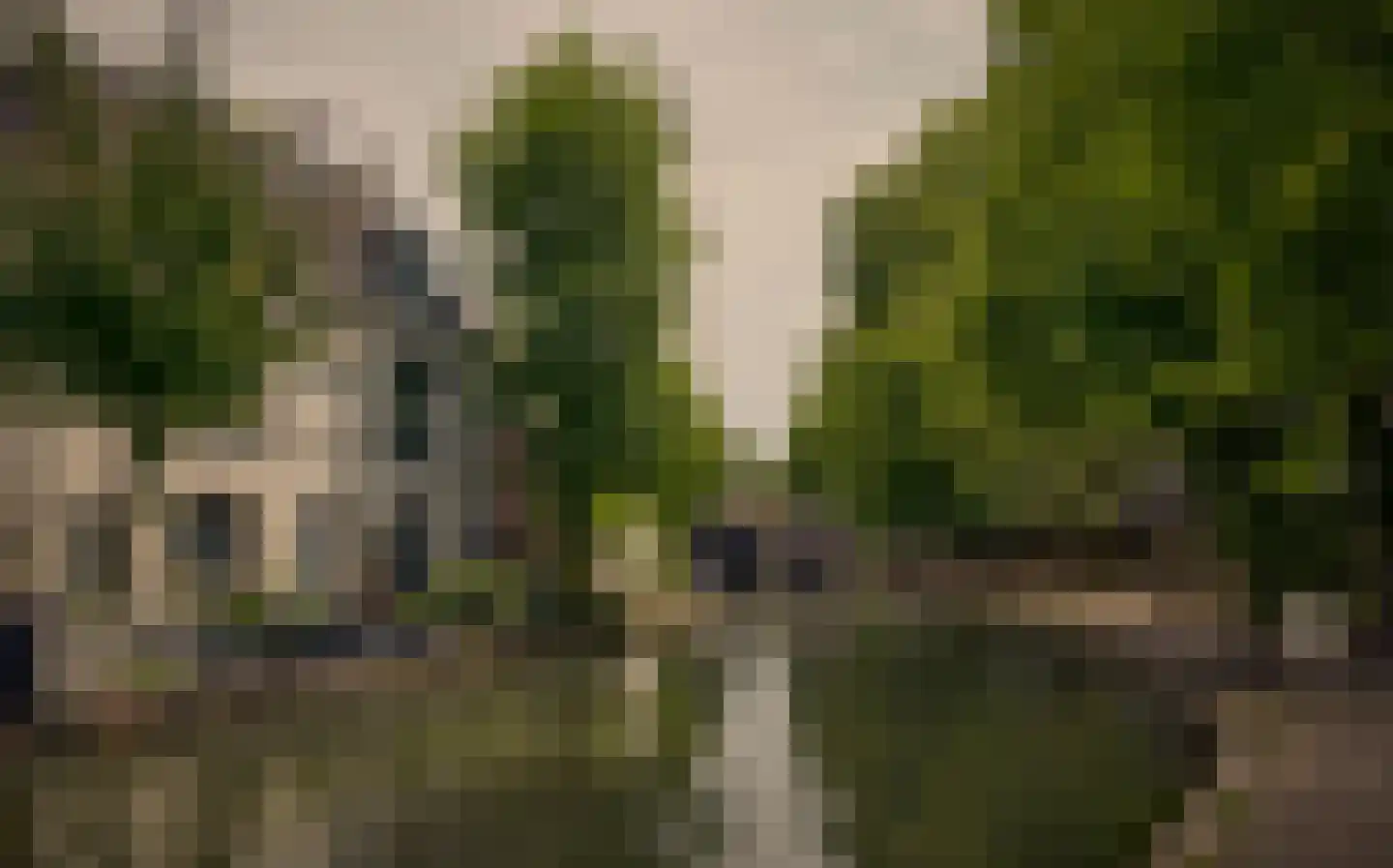 Oudegracht 401 C N Utrecht thumbnail 47