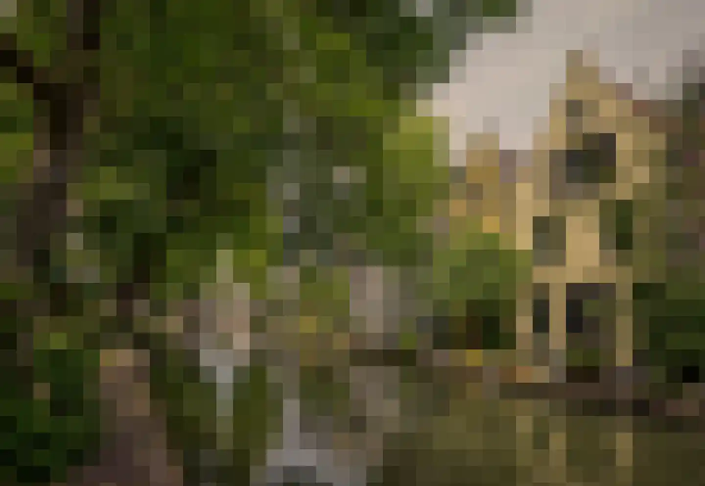 Oudegracht 401 C N Utrecht thumbnail 48