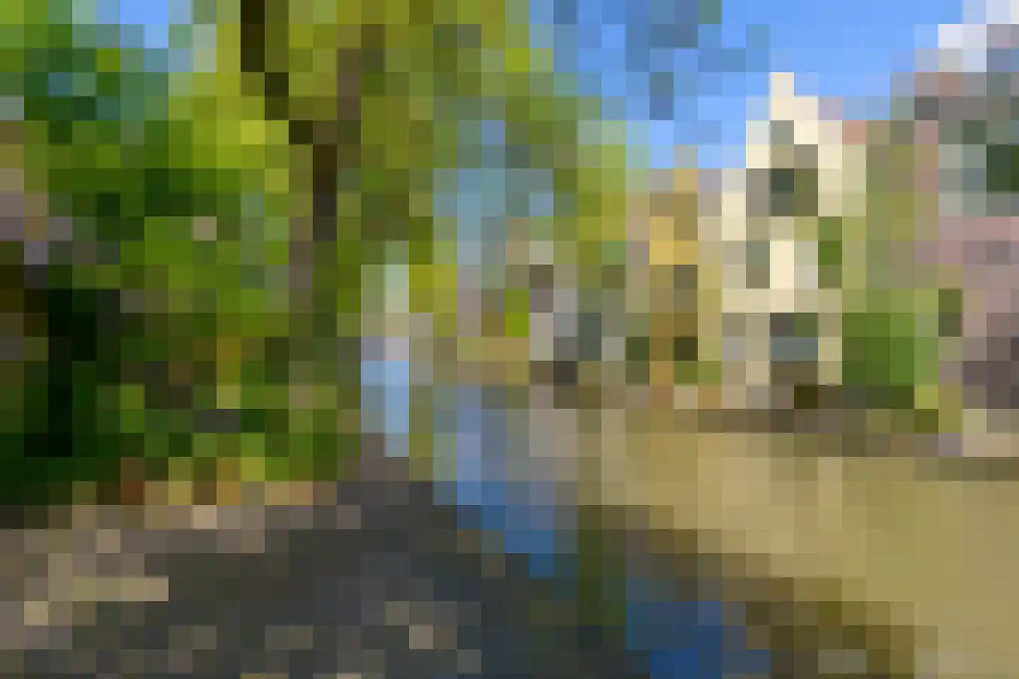 Oudegracht 407 Utrecht thumbnail 4