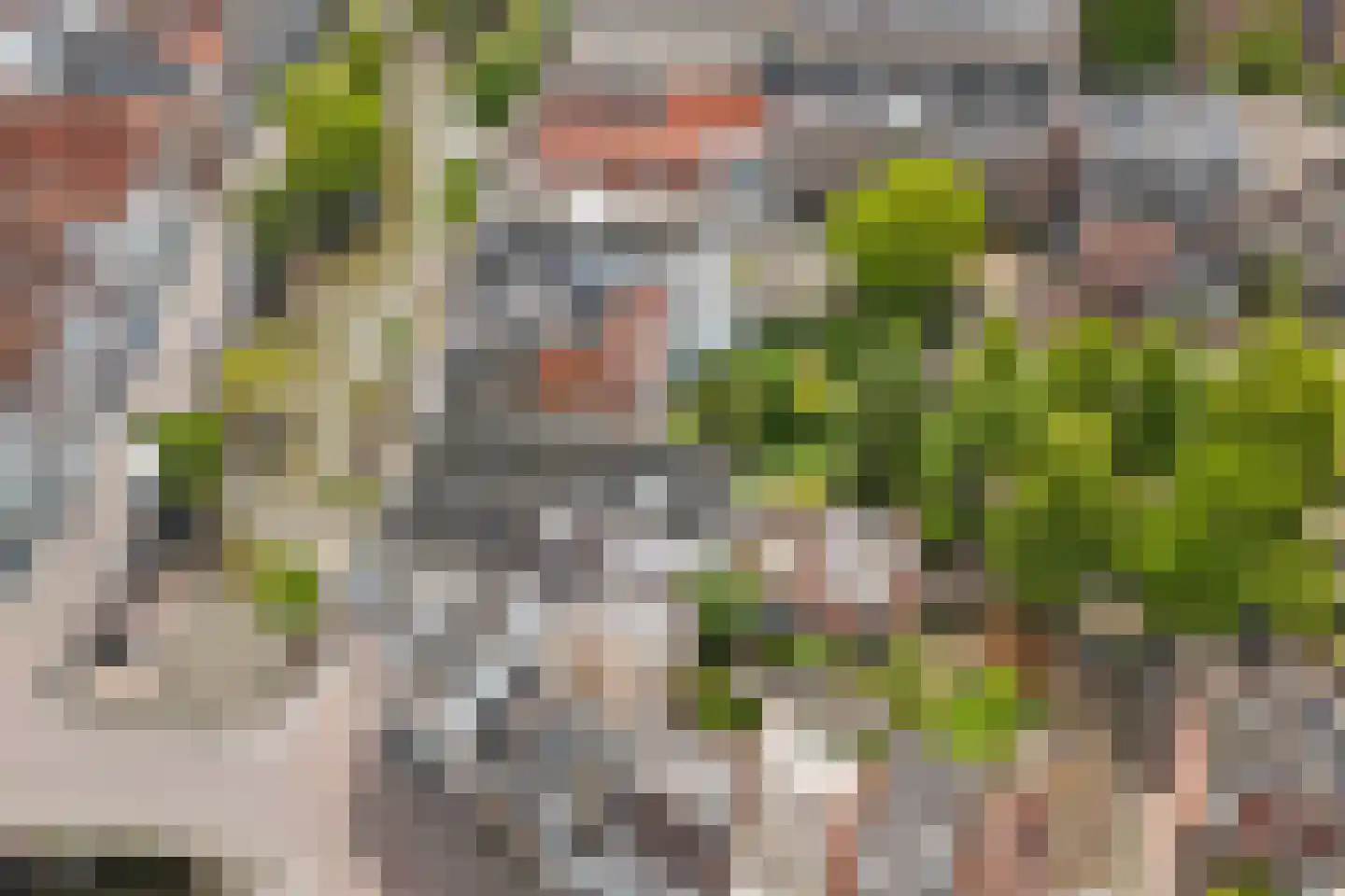 Oudegracht 5 C Utrecht thumbnail 32