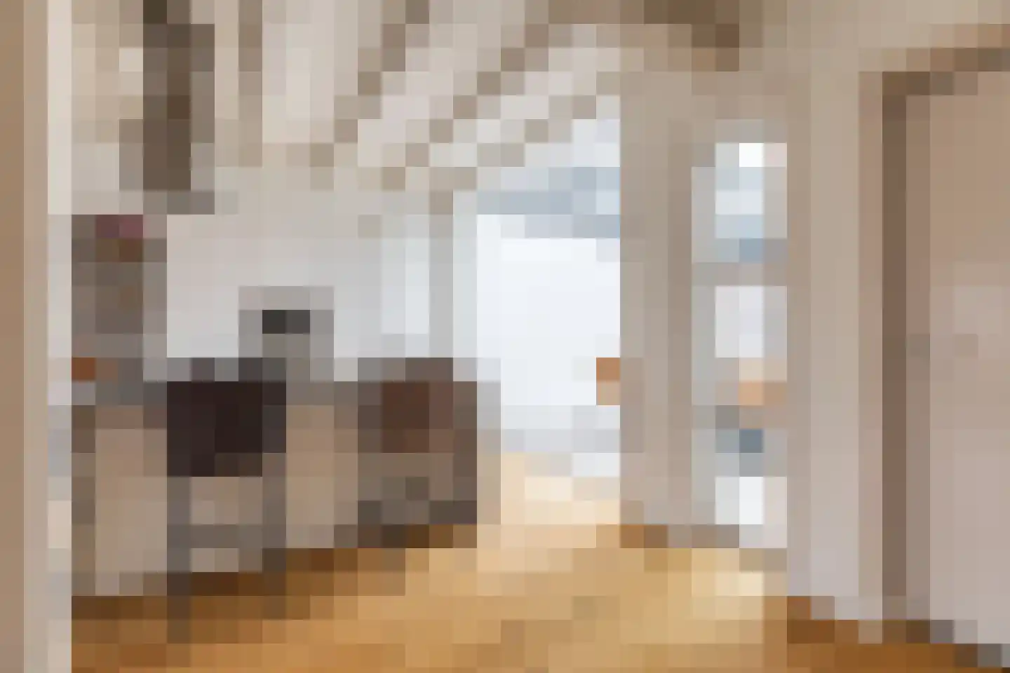 Oudegracht 6 Alkmaar thumbnail 14
