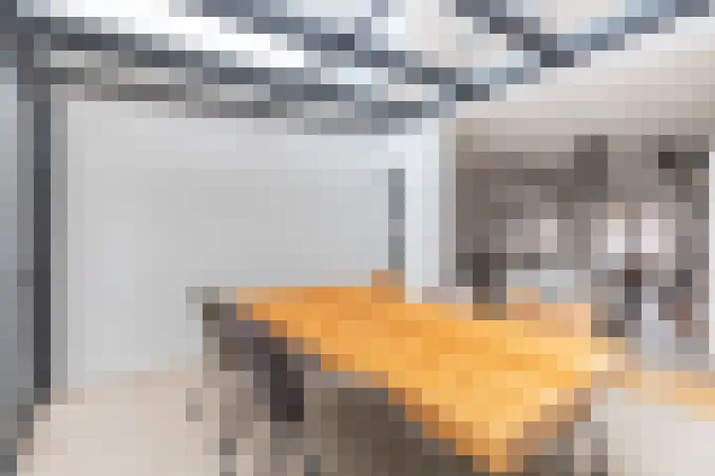 Oudegracht 6 Alkmaar thumbnail 18