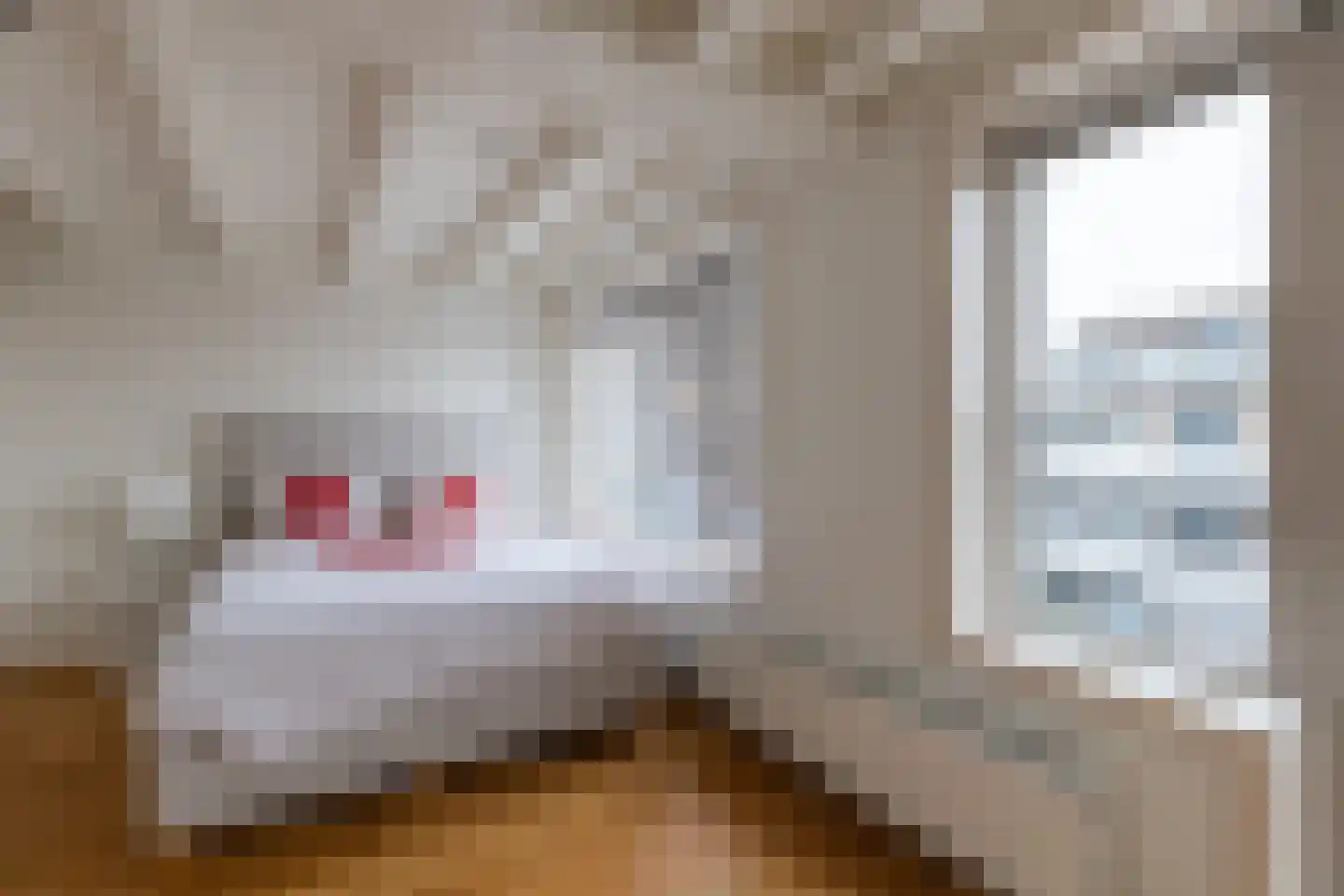 Oudegracht 6 Alkmaar thumbnail 25