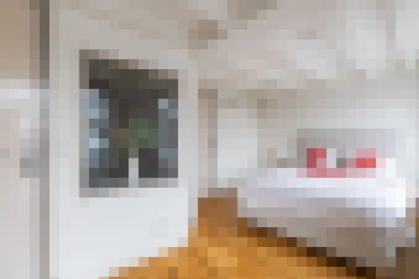 Oudegracht 6 Alkmaar thumbnail 26