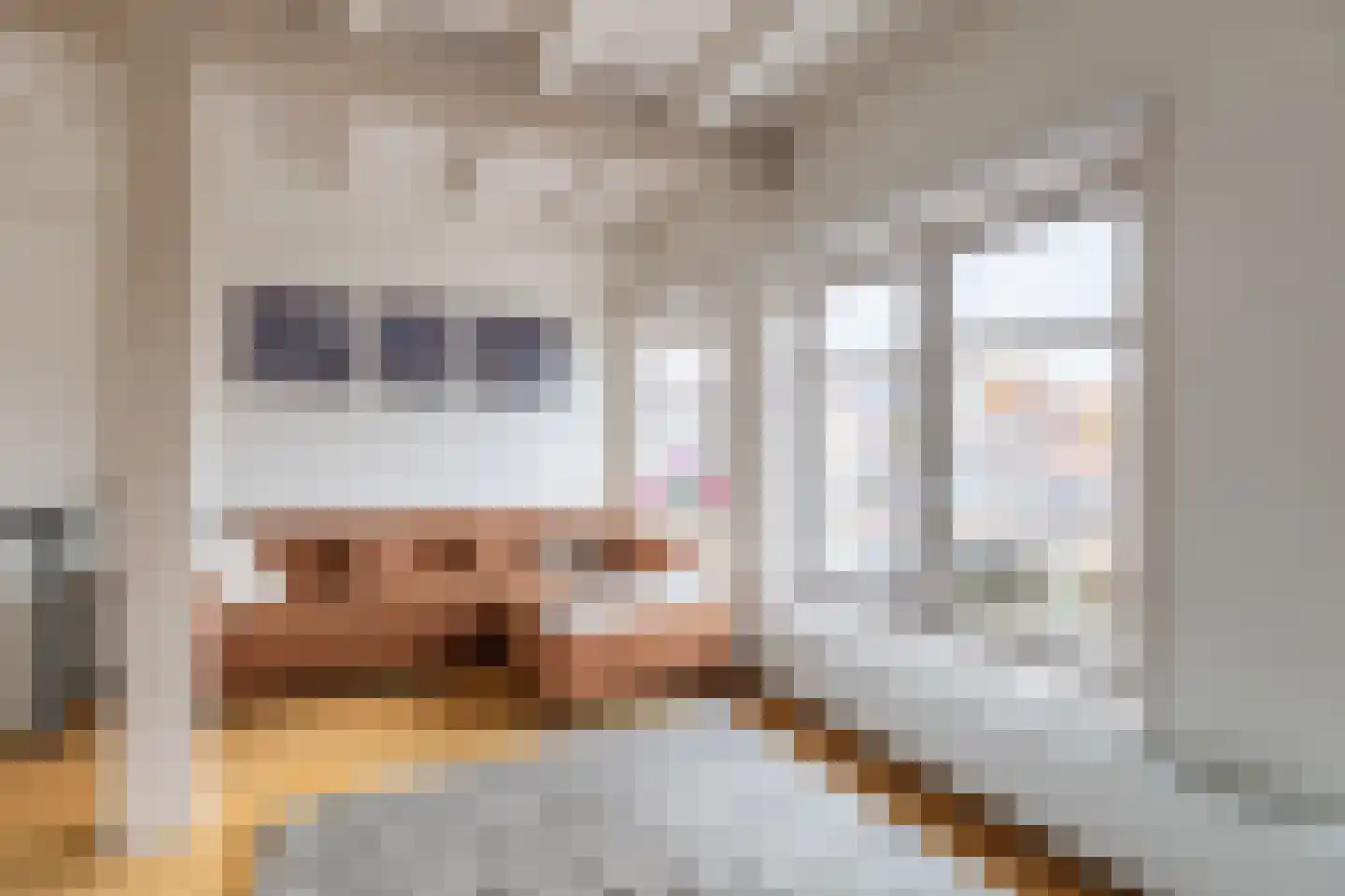 Oudegracht 6 Alkmaar thumbnail 7