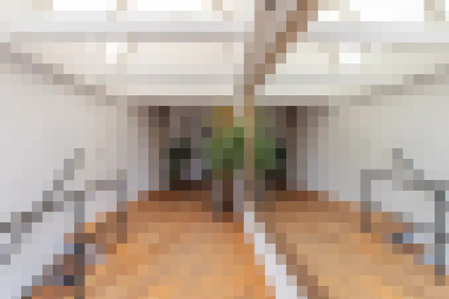 Oudegracht 70 Alkmaar thumbnail 21
