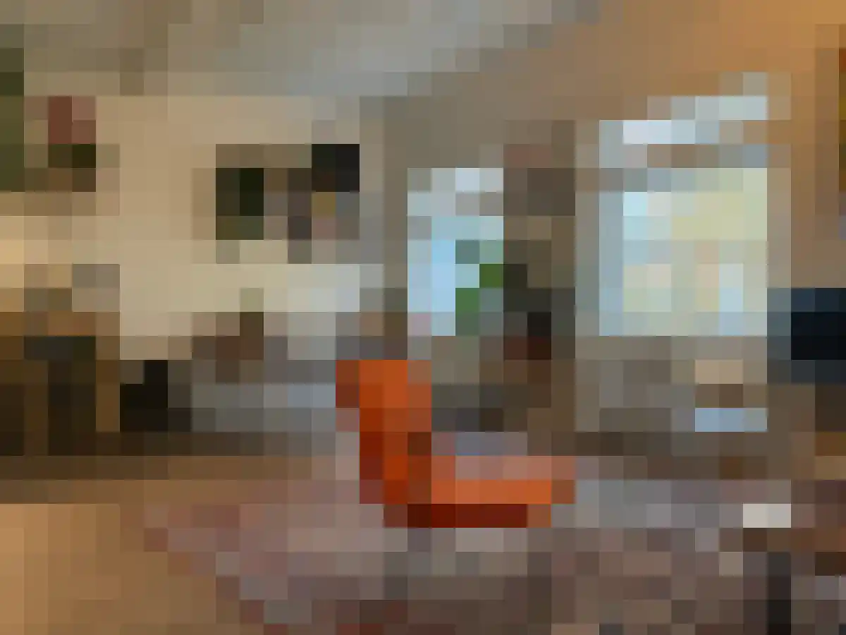 Oudegracht 76 Utrecht thumbnail 5
