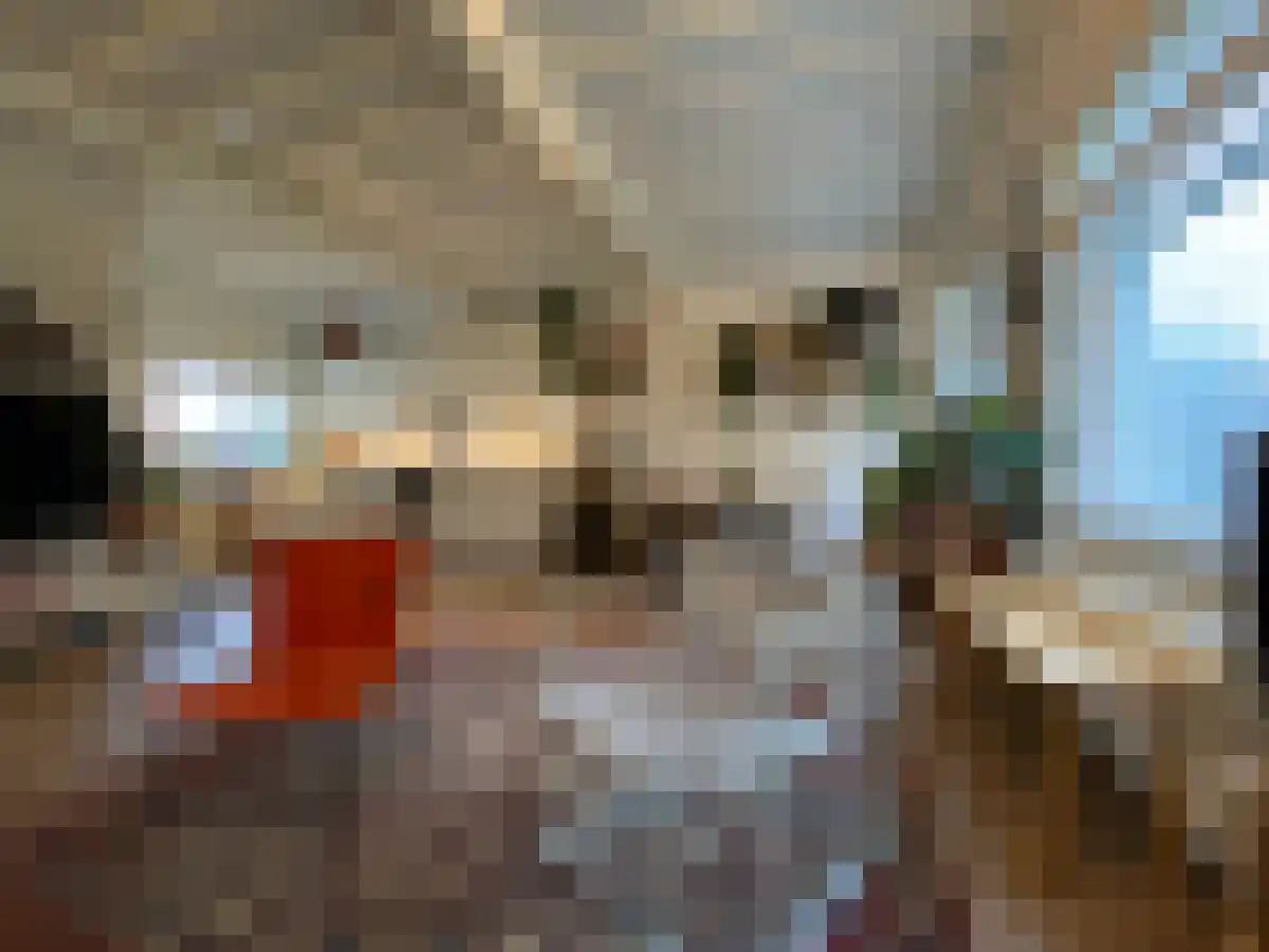 Oudegracht 76 Utrecht thumbnail 6