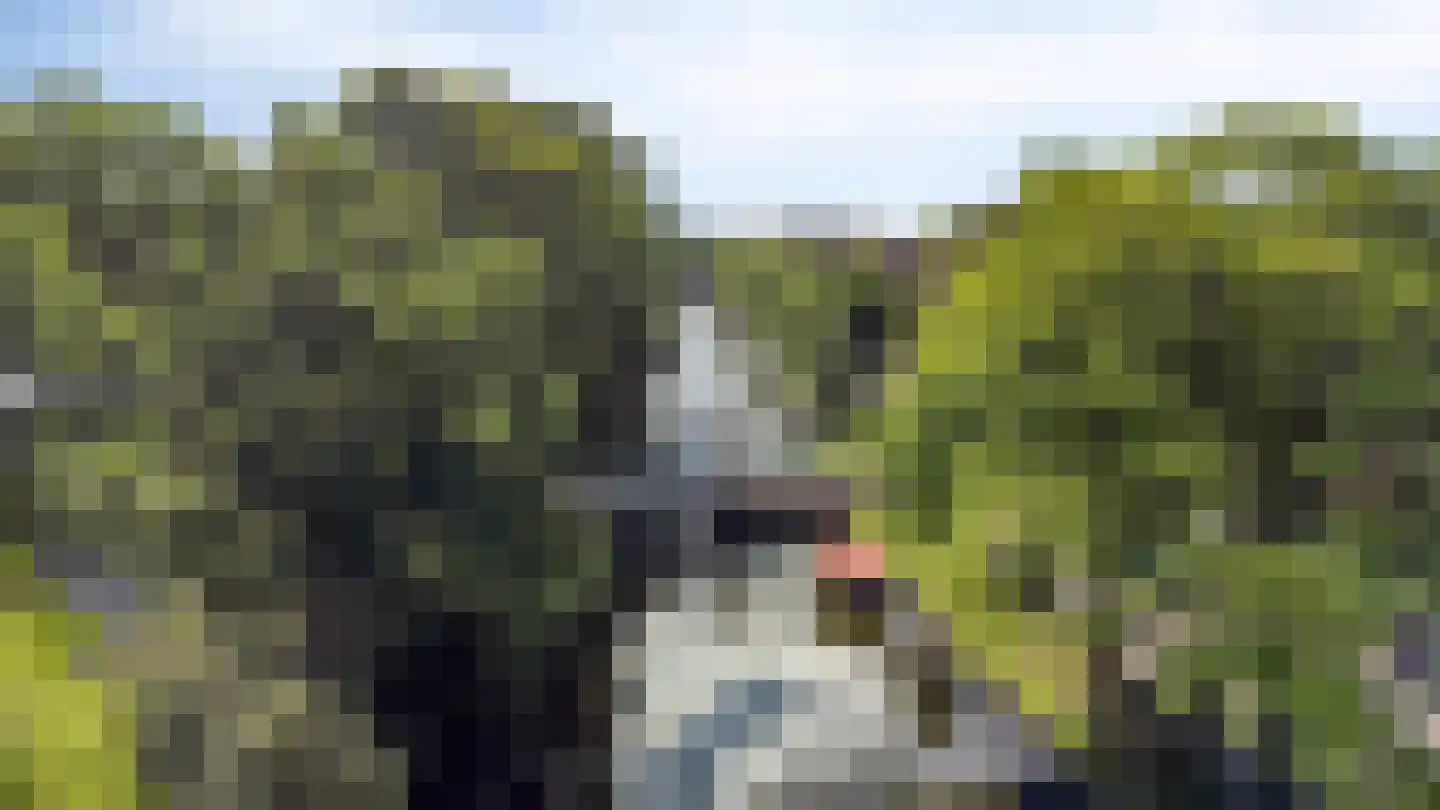 Oudegracht 99 Alkmaar thumbnail 36