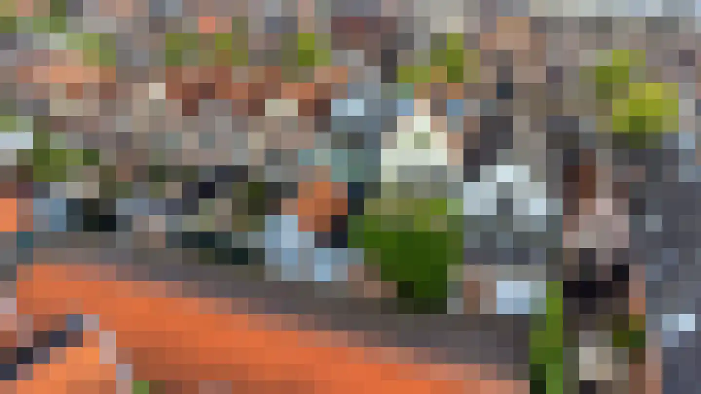 Oudegracht 99 Alkmaar thumbnail 5