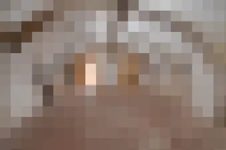 Oudegracht aan de Werf 345 Utrecht thumbnail 27