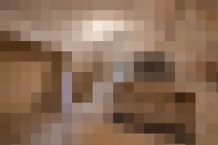 Oudegracht aan de Werf 345 Utrecht thumbnail 29