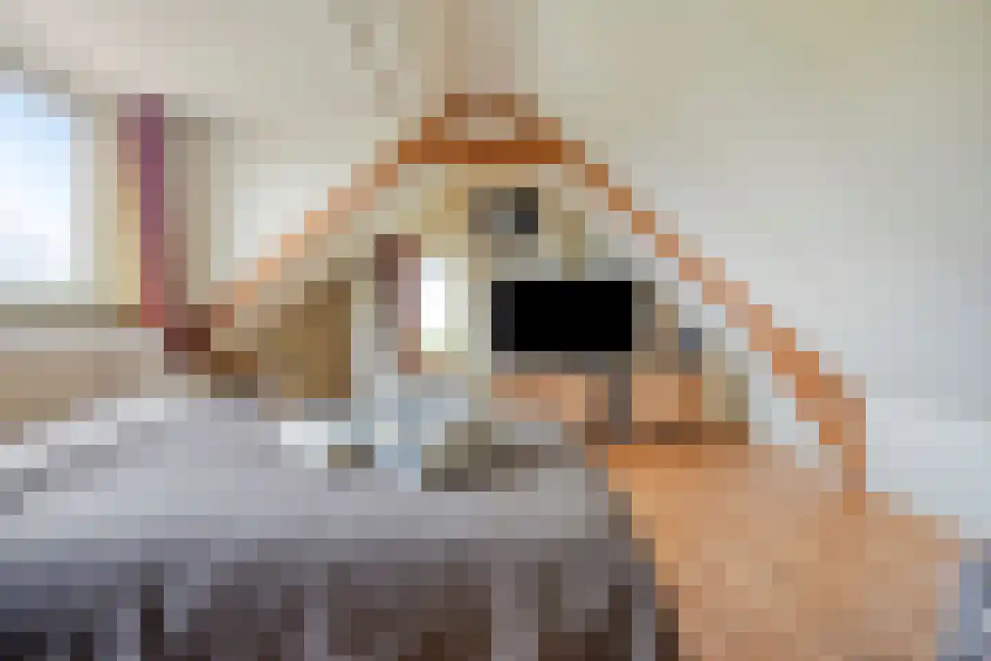 Oudekamerseweg 12 Heinkenszand thumbnail 23