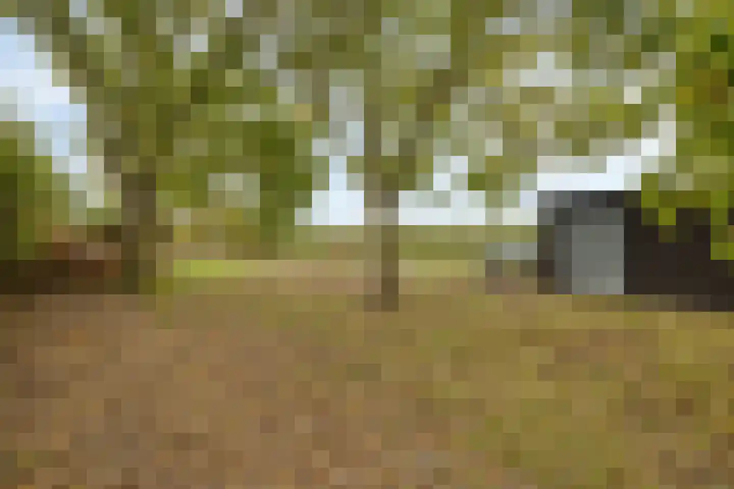 Oudekamerseweg 12 Heinkenszand thumbnail 42
