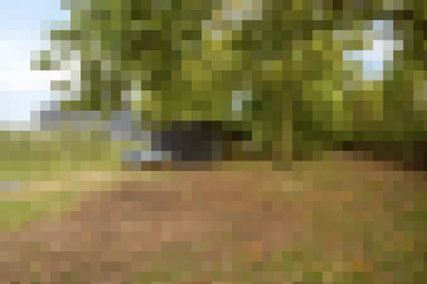 Oudekamerseweg 12 Heinkenszand thumbnail 43