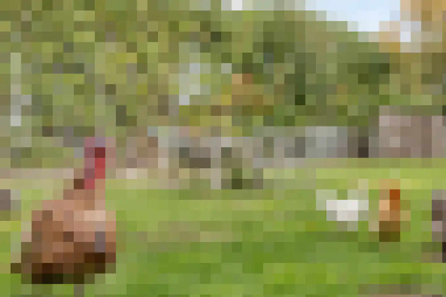 Oudekamerseweg 12 Heinkenszand thumbnail 44