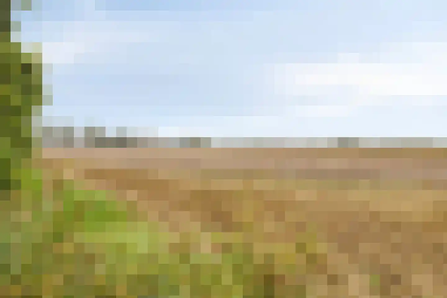 Oudekamerseweg 12 Heinkenszand thumbnail 45
