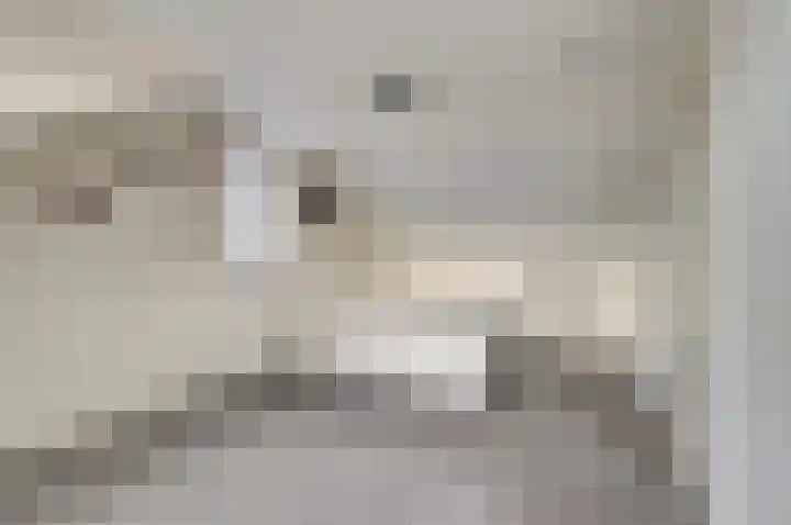 Oudelaan 2107 Wijchen thumbnail 30