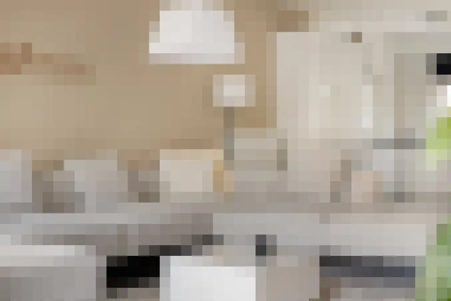 Oudelaan 2214 Wijchen thumbnail 15