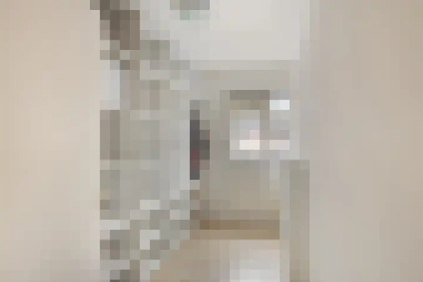 Oudelaan 2214 Wijchen thumbnail 29
