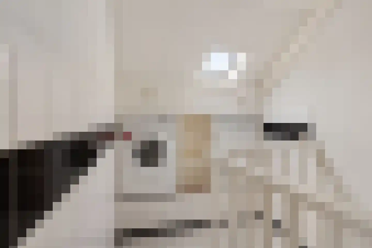 Oudelaan 2214 Wijchen thumbnail 33