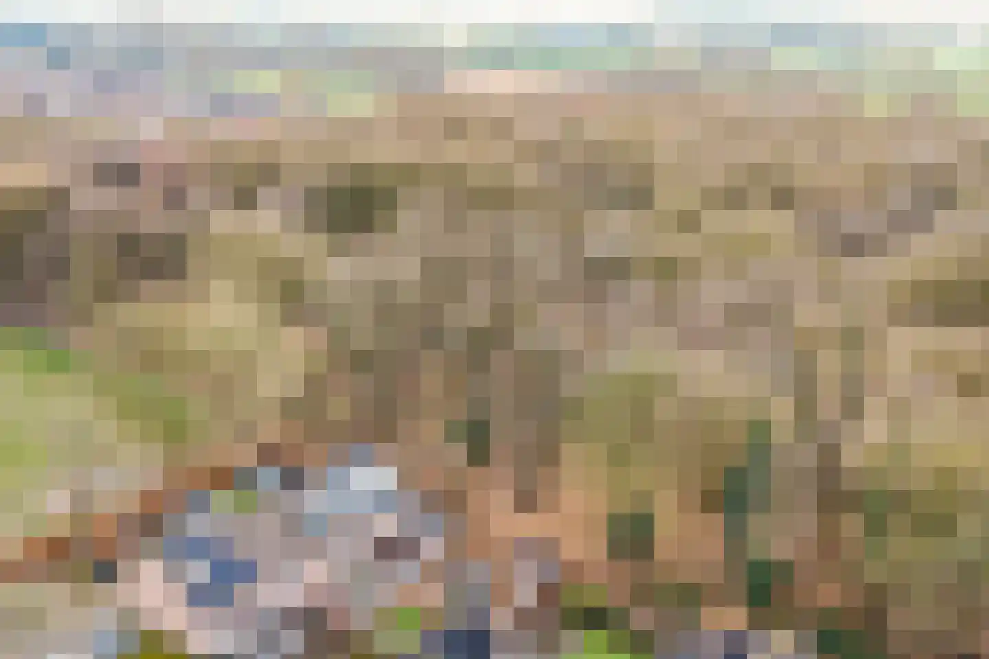Oudelaan 2214 Wijchen thumbnail 42