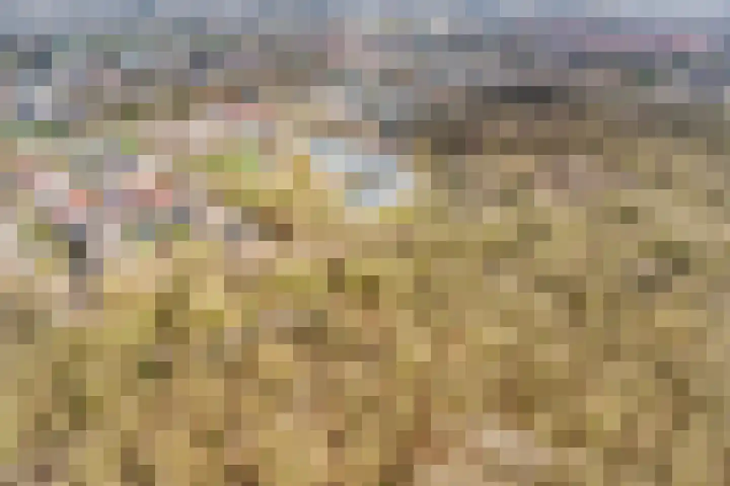 Oudelaan 2214 Wijchen thumbnail 43