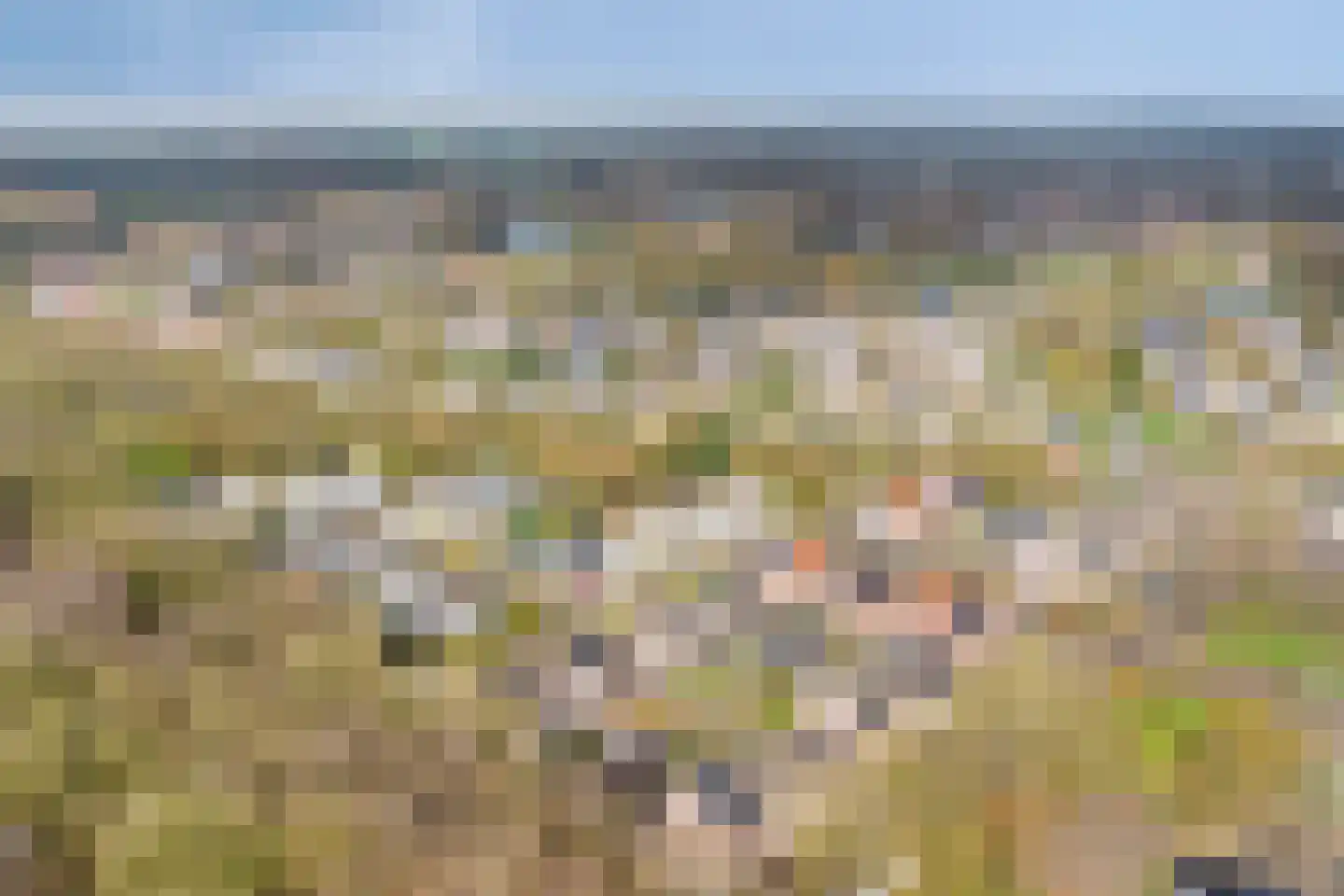 Oudelaan 2214 Wijchen thumbnail 44