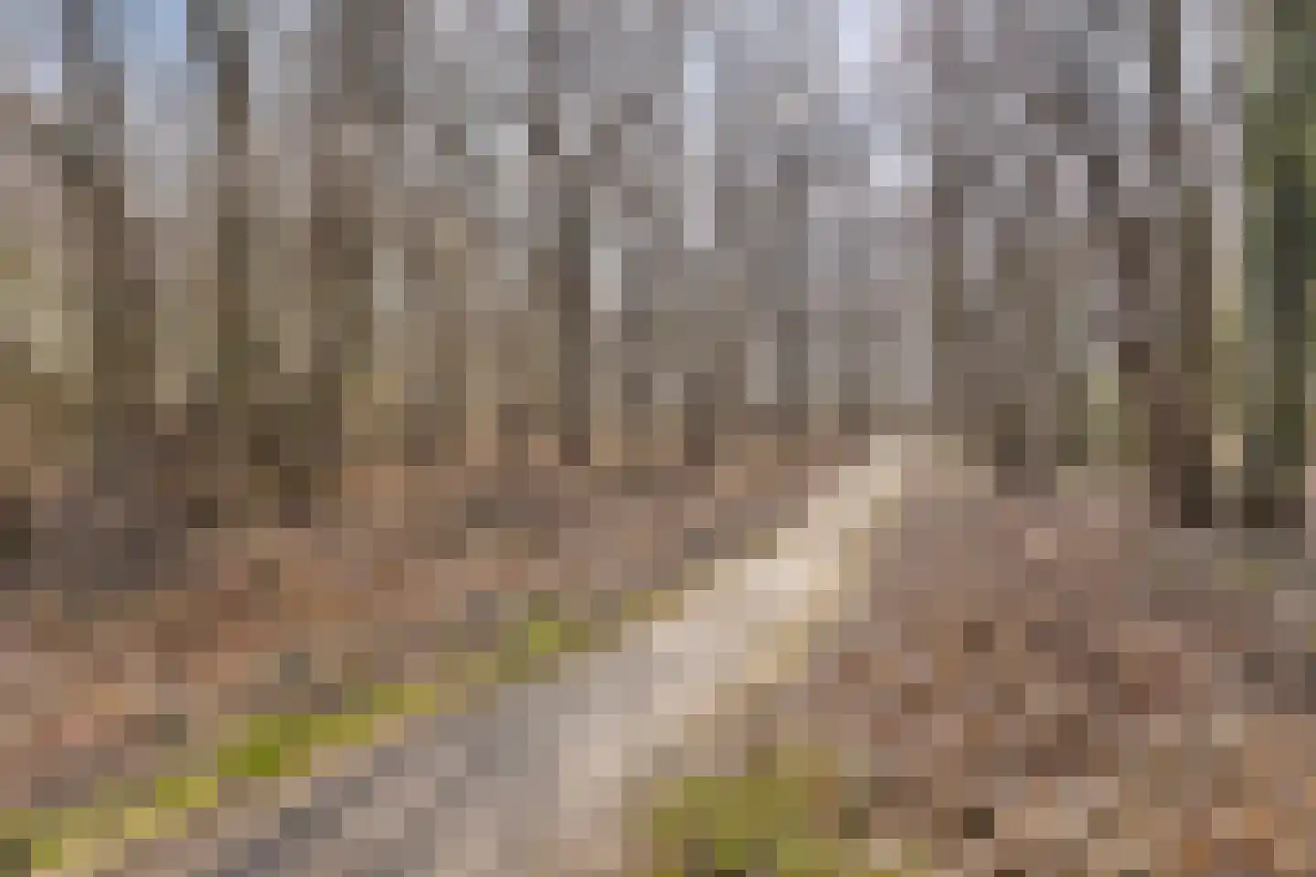 Oudelaan 2214 Wijchen thumbnail 45