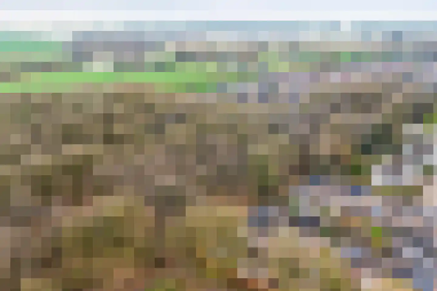 Oudelaan 2214 Wijchen thumbnail 6