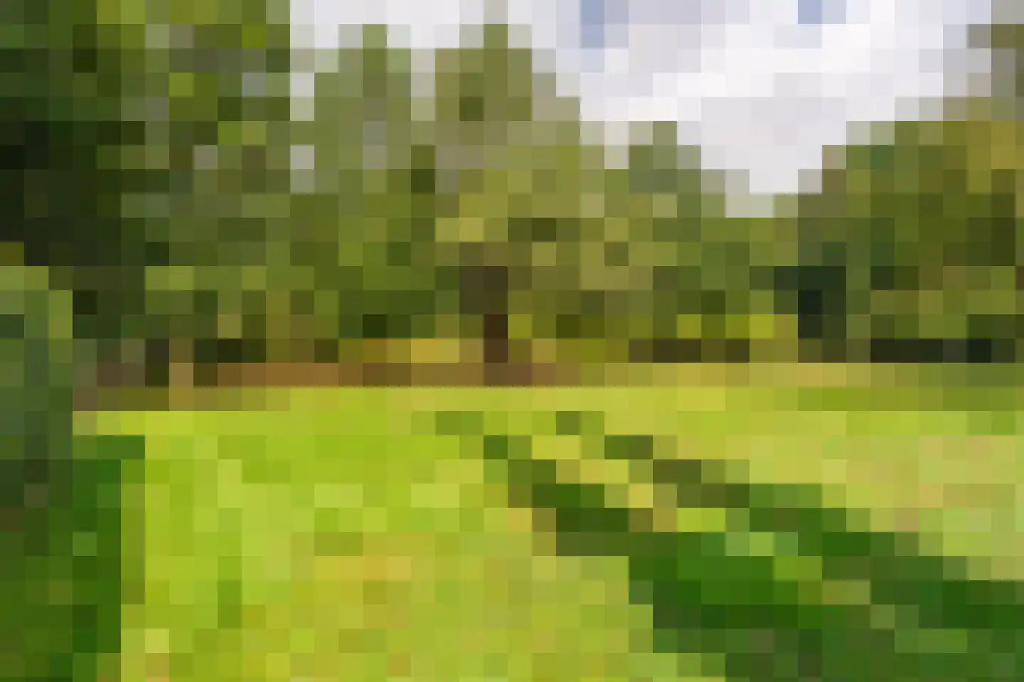 Oudelaan 5 Bellingwolde thumbnail 14
