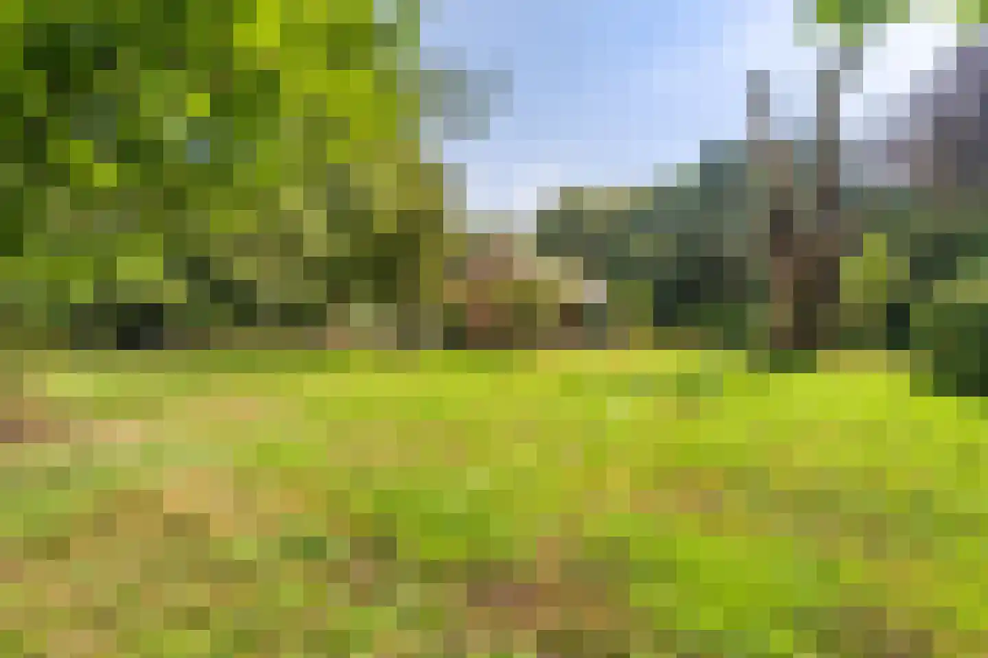 Oudelaan 5 Bellingwolde thumbnail 15