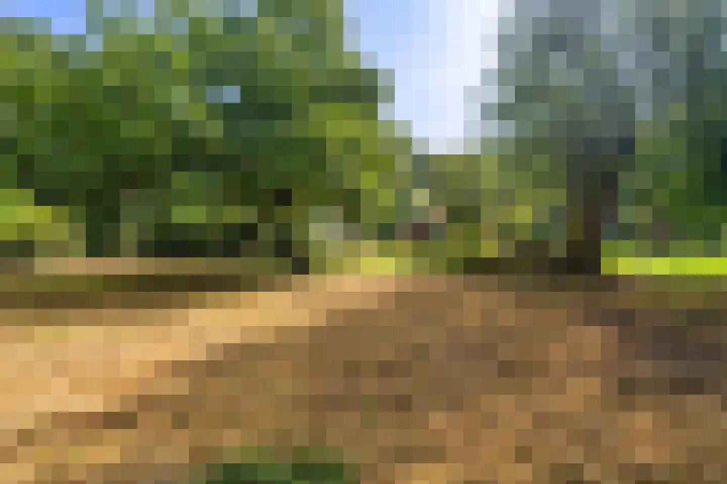 Oudelaan 5 Bellingwolde thumbnail 16