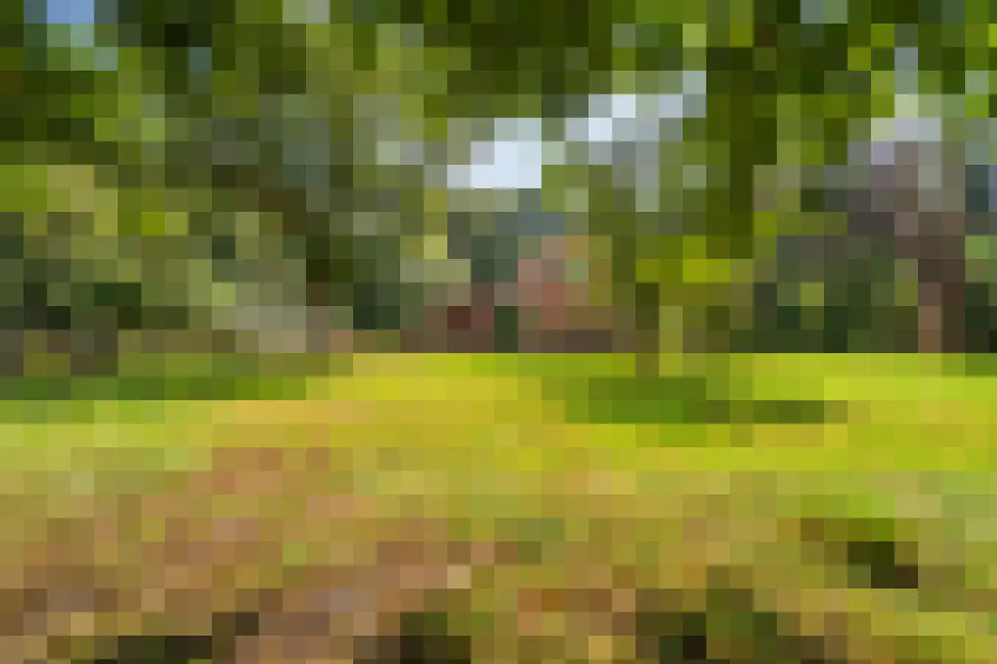 Oudelaan 5 Bellingwolde thumbnail 17